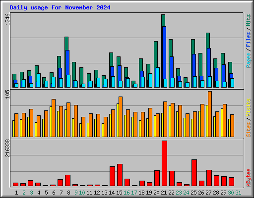 Daily usage for November 2024
