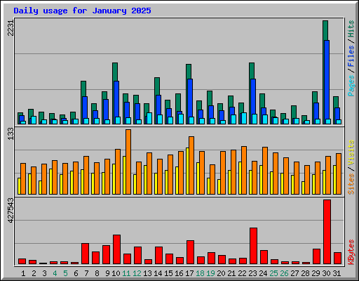 Daily usage for January 2025