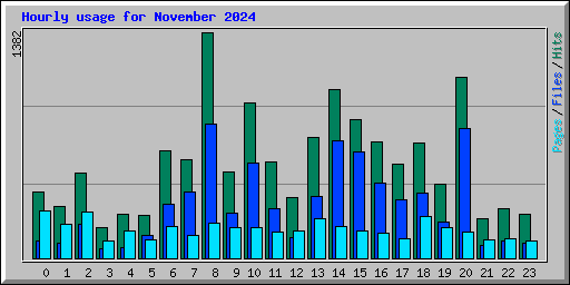 Hourly usage for November 2024
