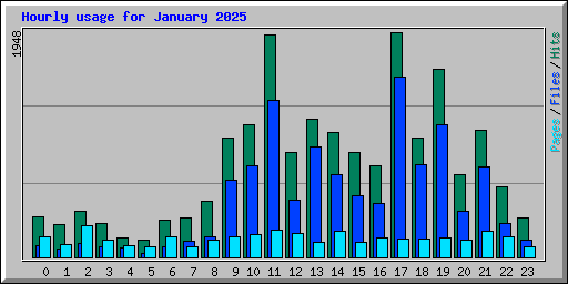 Hourly usage for January 2025