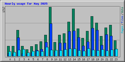 Hourly usage for May 2025