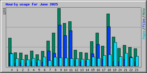 Hourly usage for June 2025