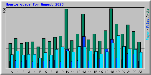Hourly usage for August 2025