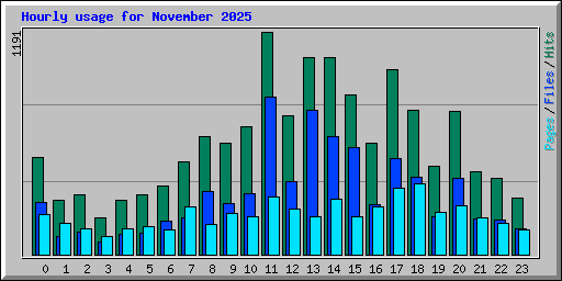 Hourly usage for November 2025